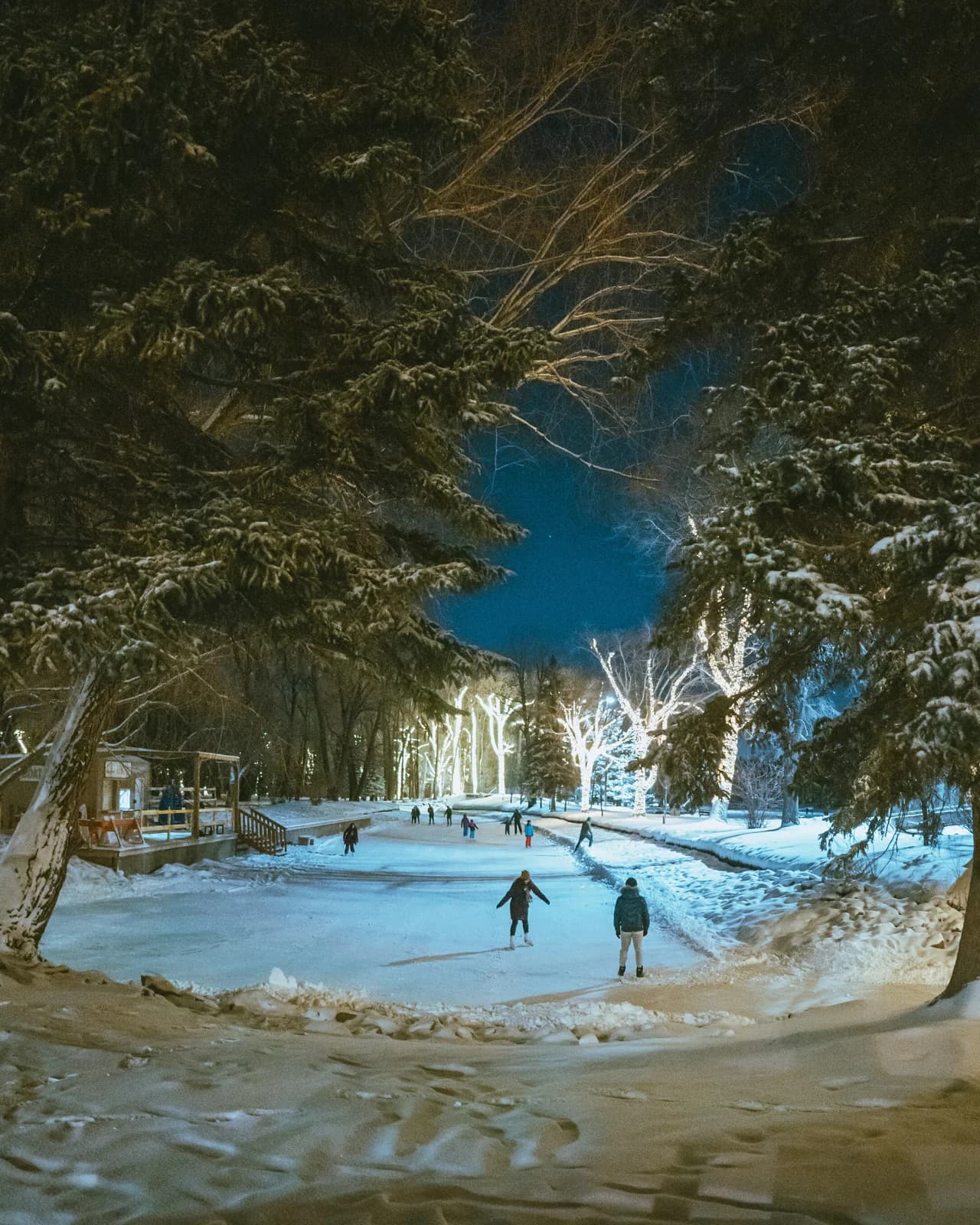 People skating at an outdoor winter rink
