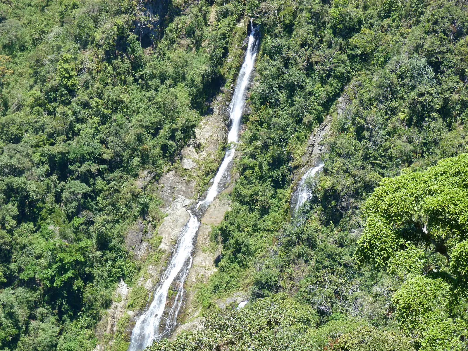 A tall waterfall dropping through the cloud forest of Antioquia