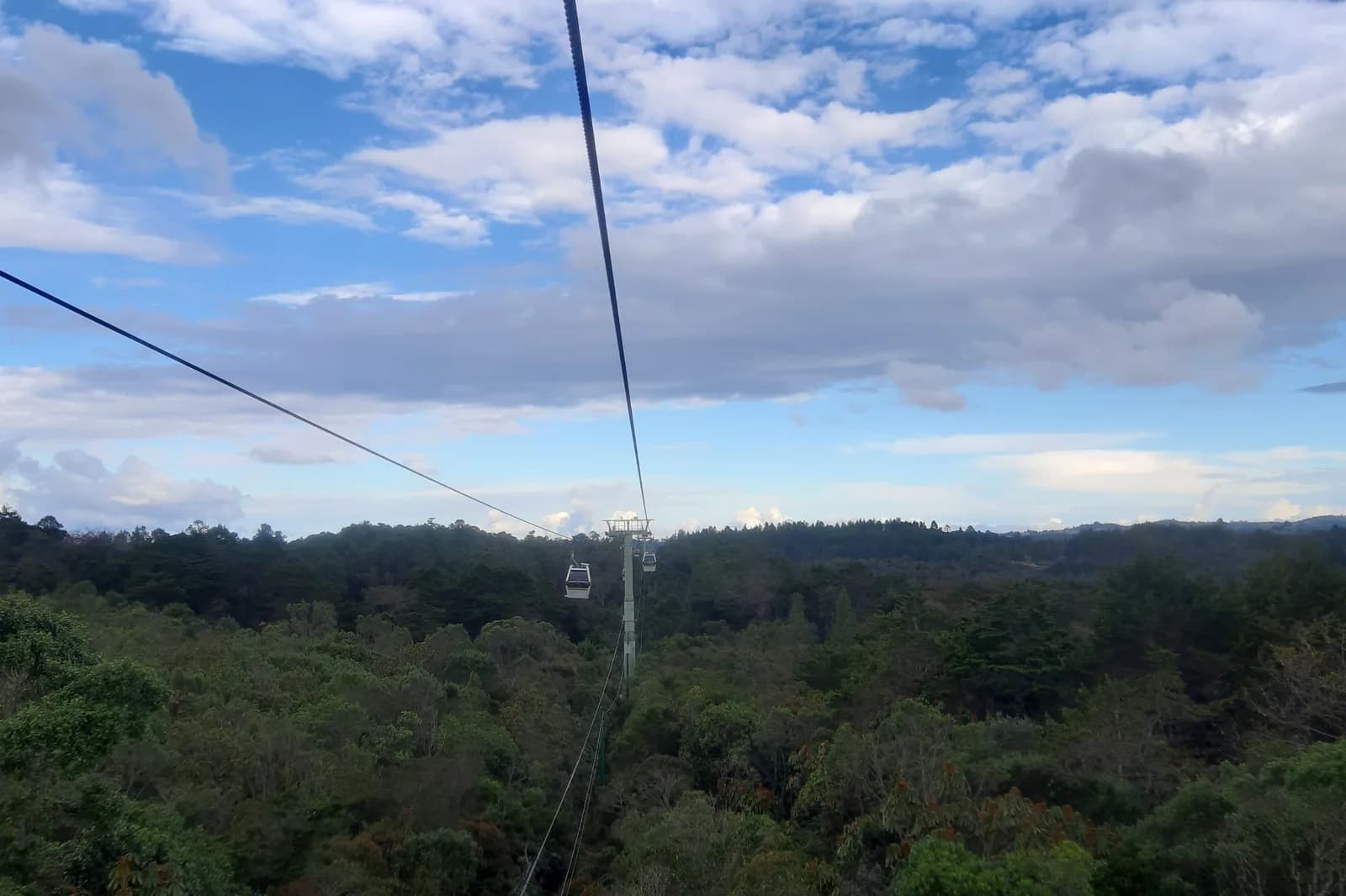 A Metrocable cabin gliding above the forest on the way to Parque Arví