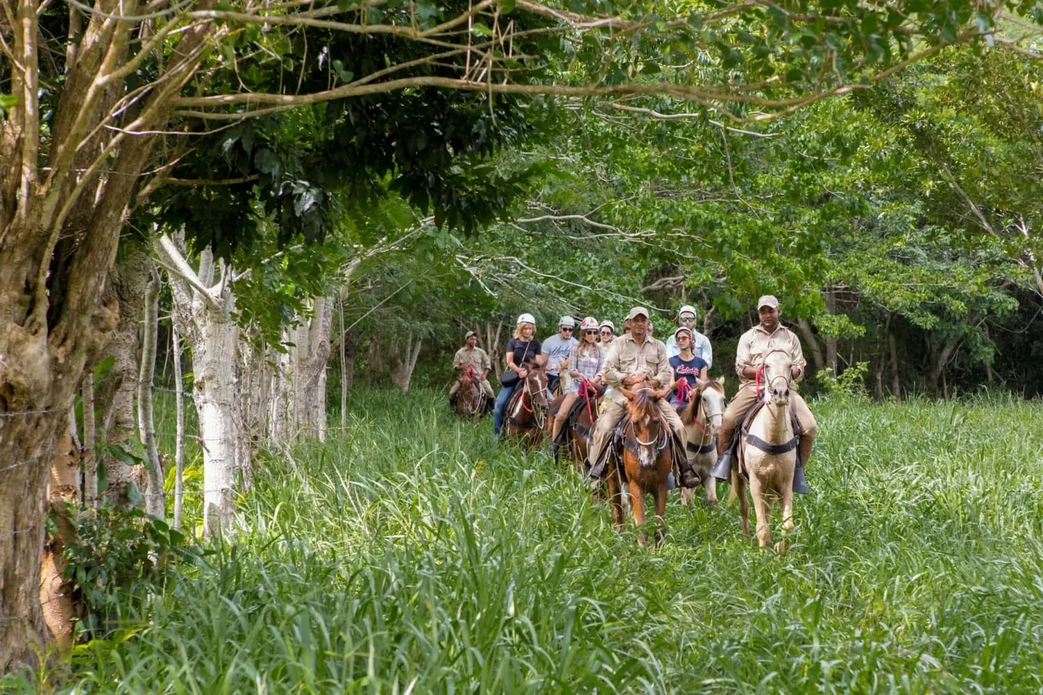 Riders following a horseback trail through the countryside