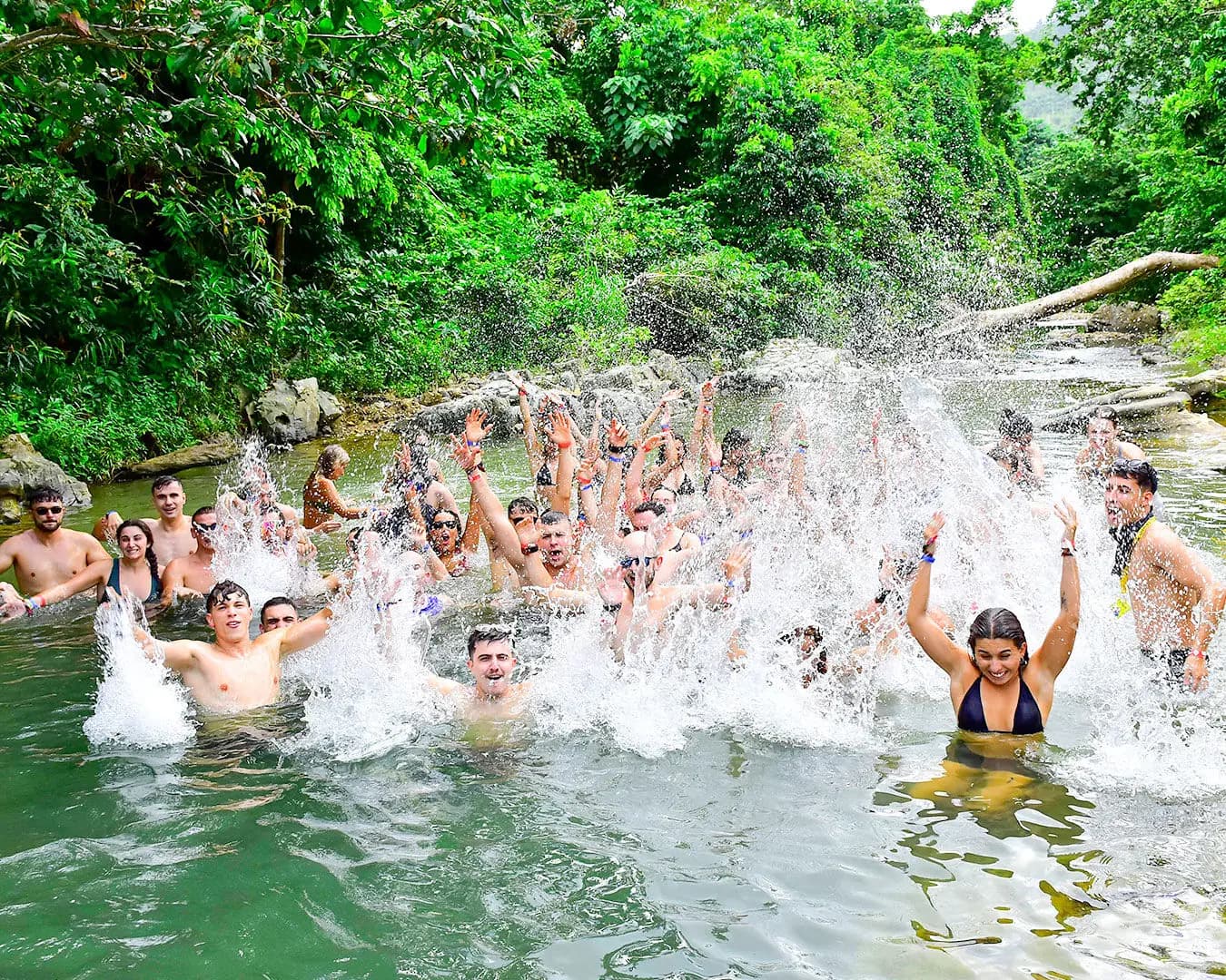 A large group swimming together in a jungle river