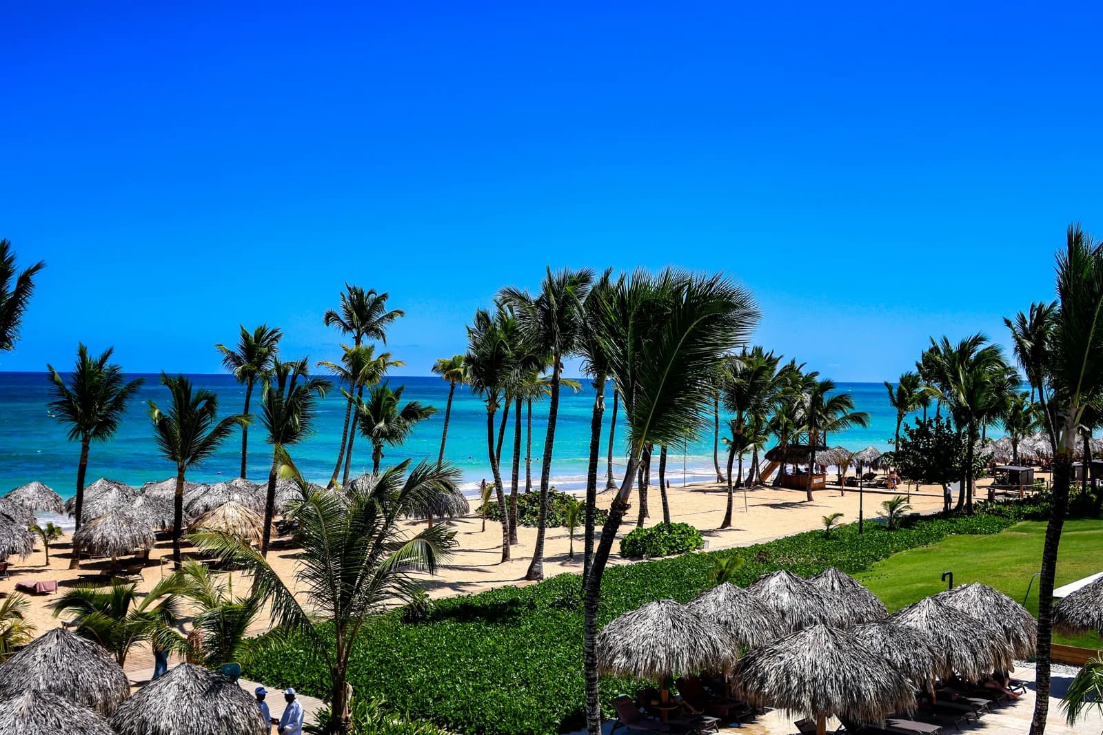 Palm trees and thatched roofs beside a broad sandy beach