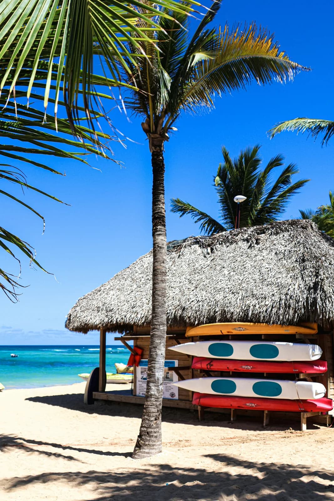 Colourful kayaks stacked beneath a thatched beach shelter