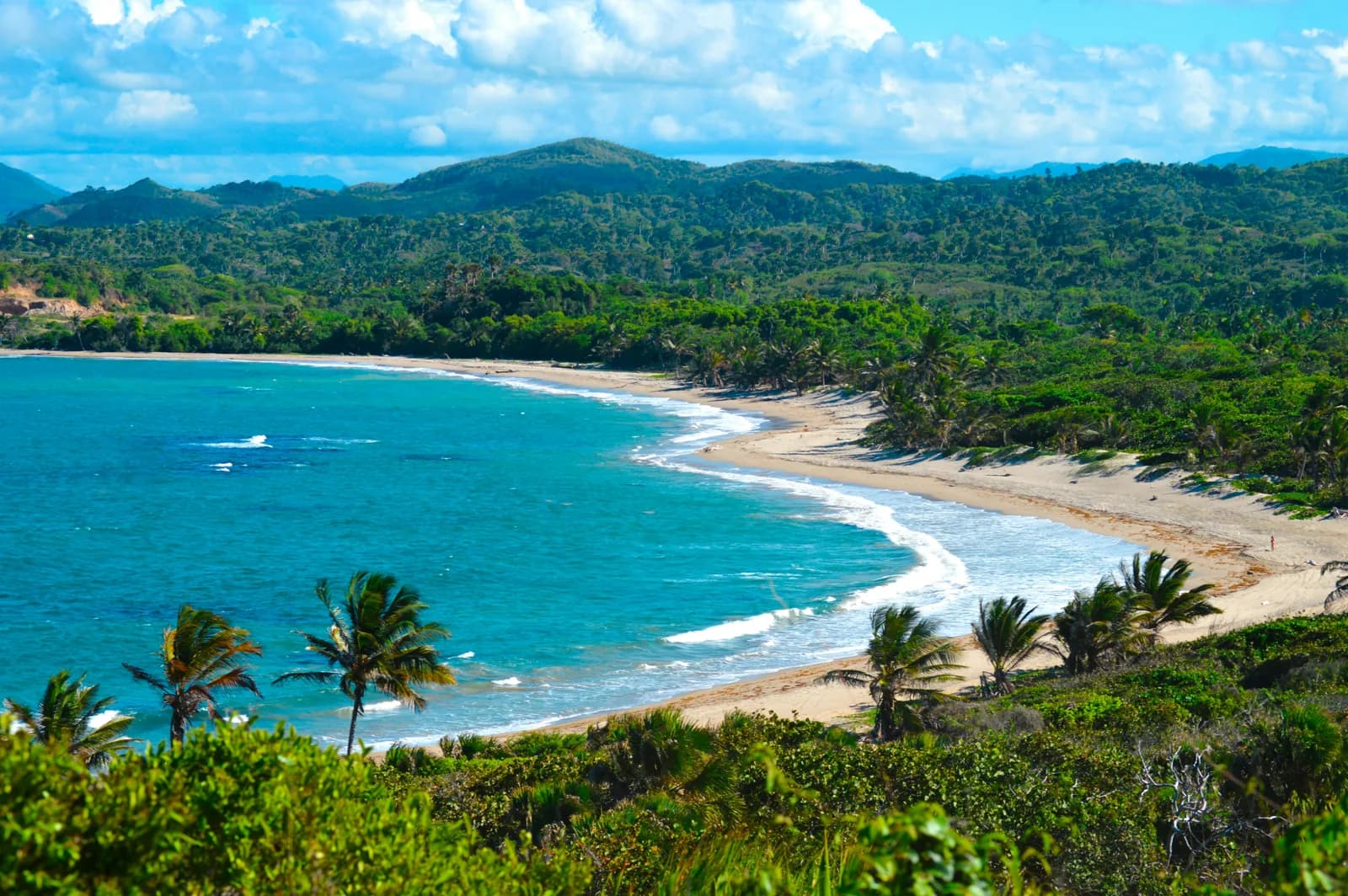 A curved tropical bay backed by green hills and palm trees