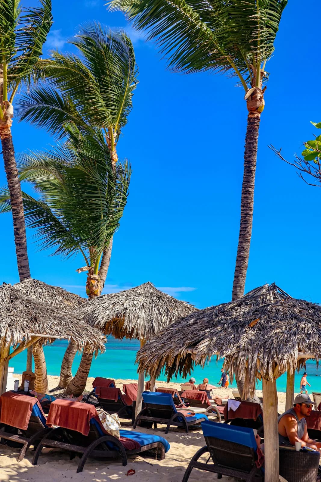 Palm trees, loungers and thatched umbrellas beside the sea