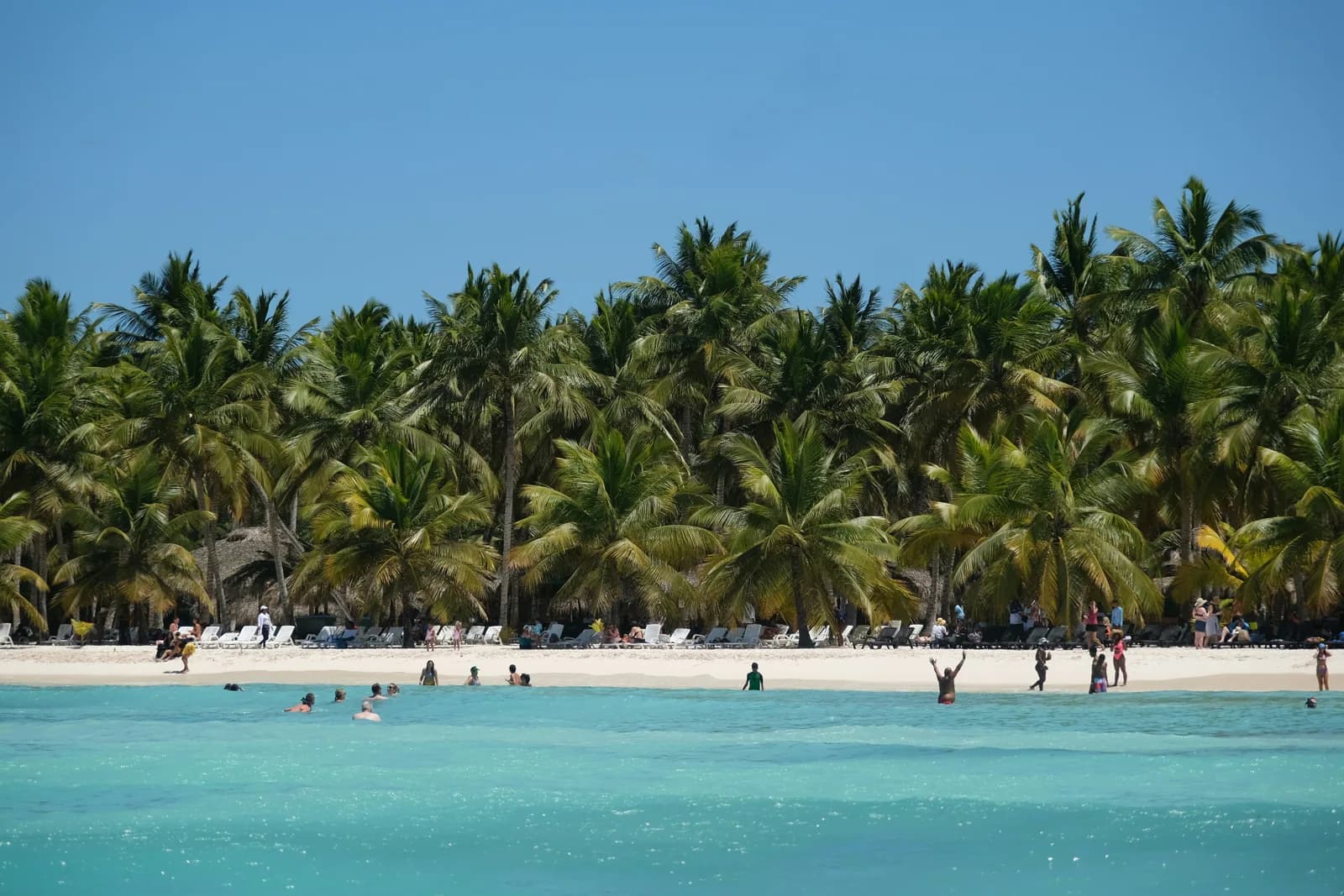 Turquoise water beside a white-sand beach and coconut palms