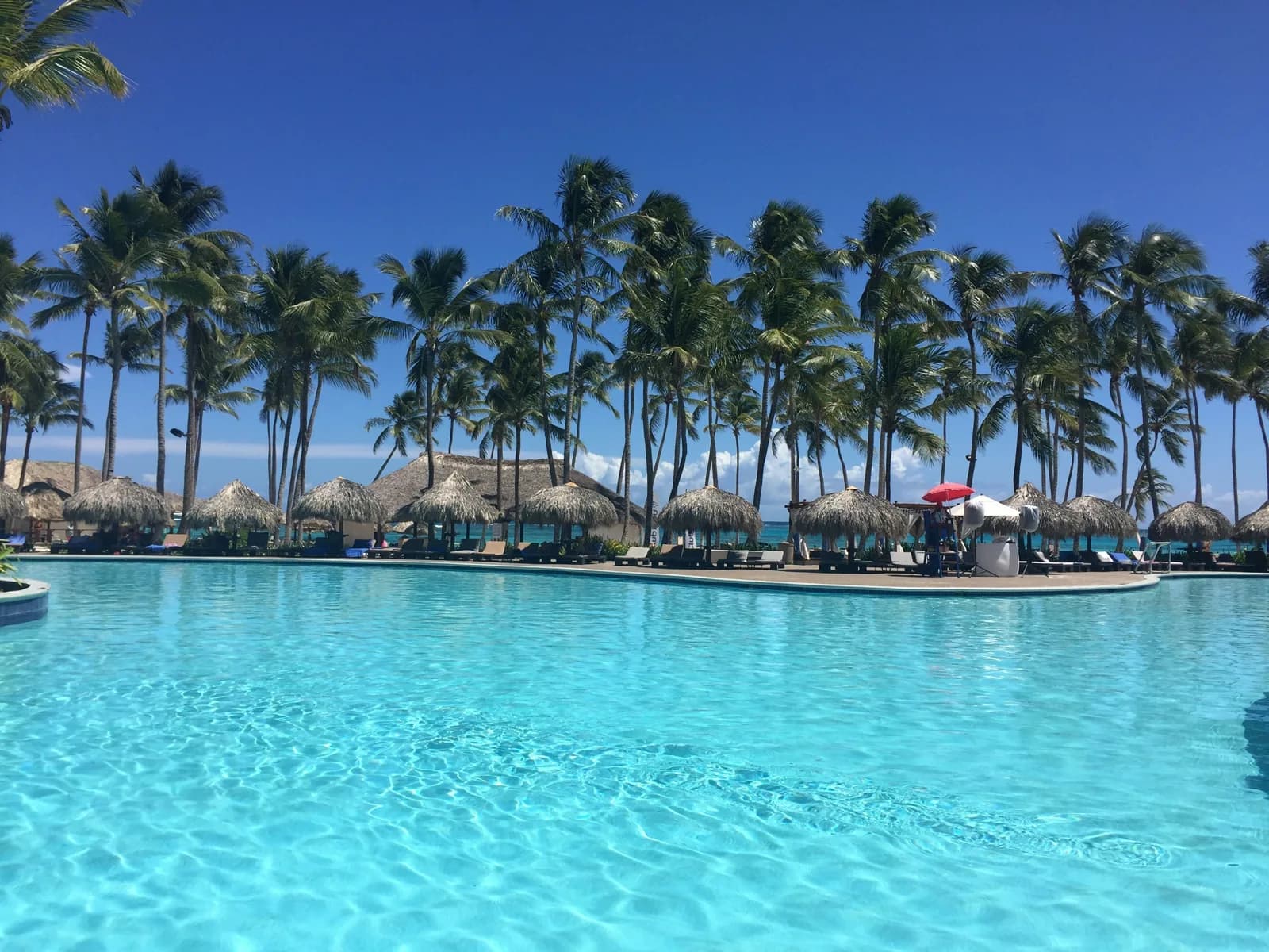 A blue resort pool framed by a line of palm trees