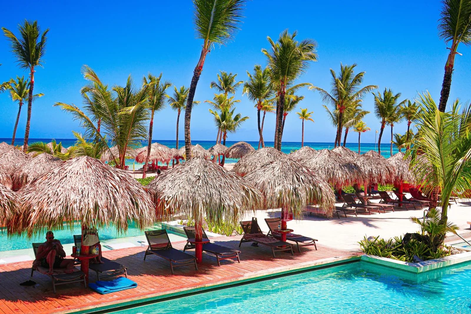 Thatched poolside shelters beneath tall palm trees