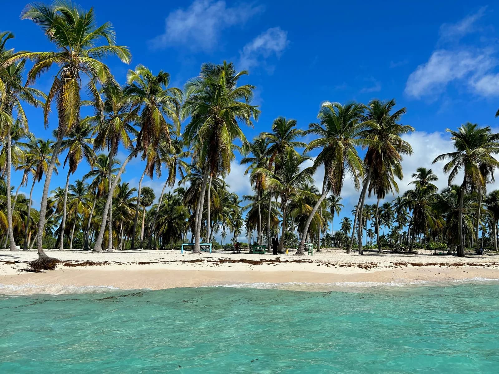 Clear sea washing onto a beach lined with tall coconut palms