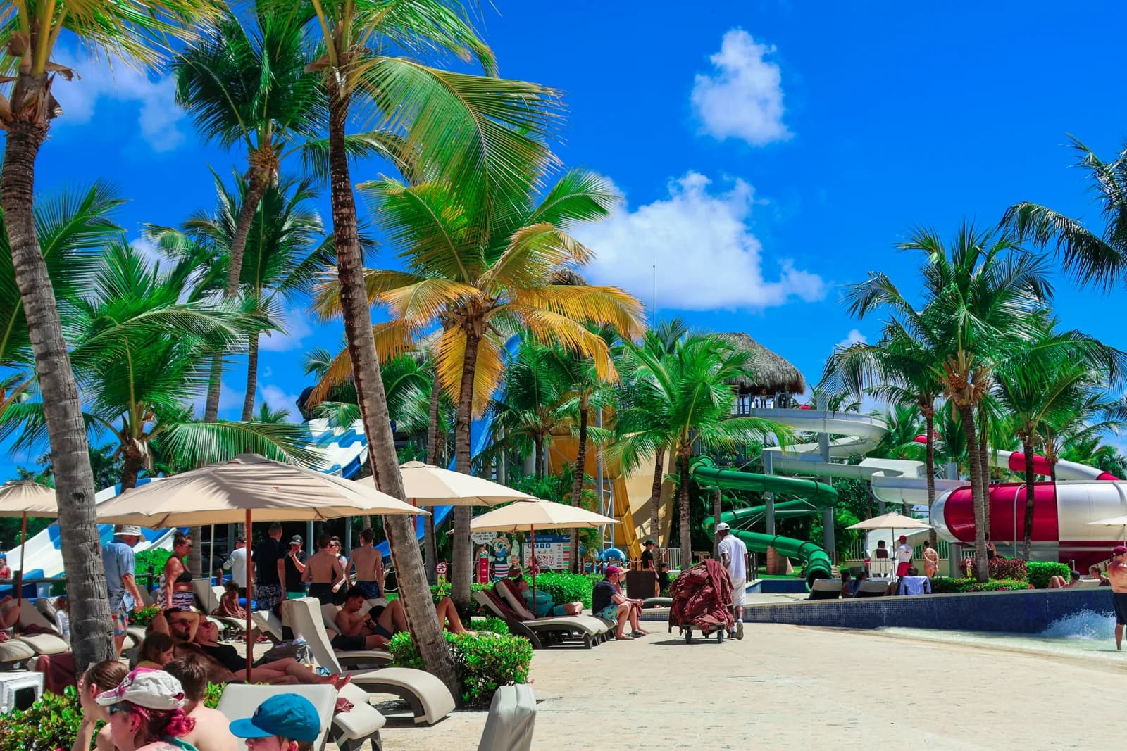 Palm trees and shaded seating in a tropical resort setting