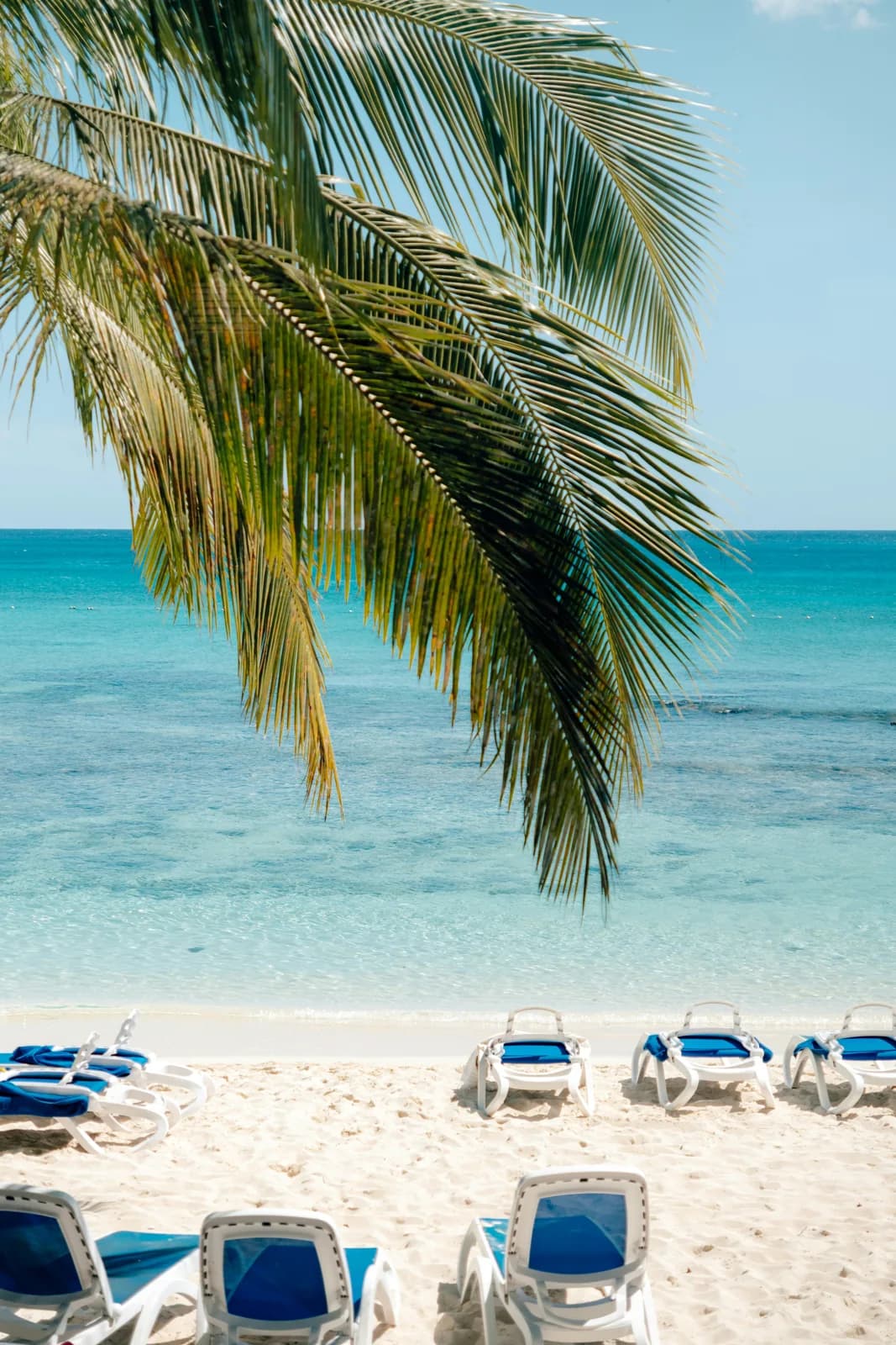Beach loungers beneath palms beside the Caribbean Sea