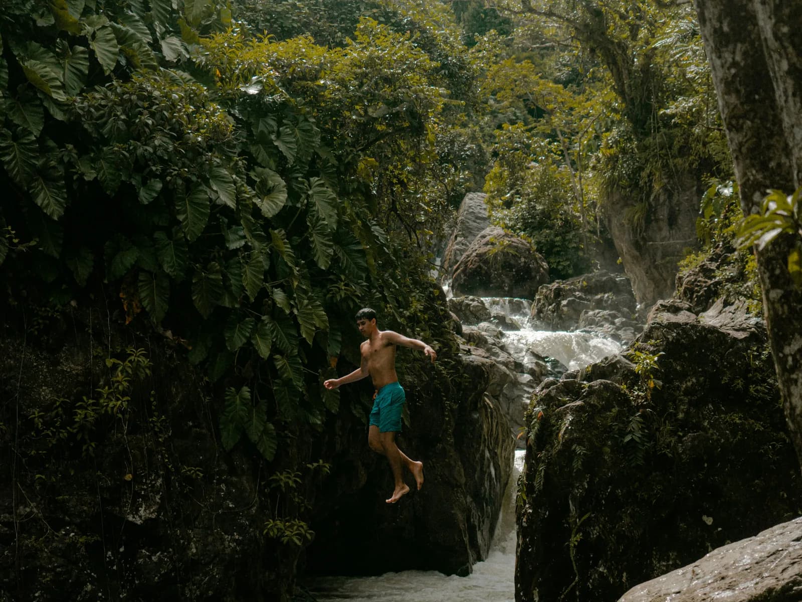 A person jumping from a rock into a river pool in the forest
