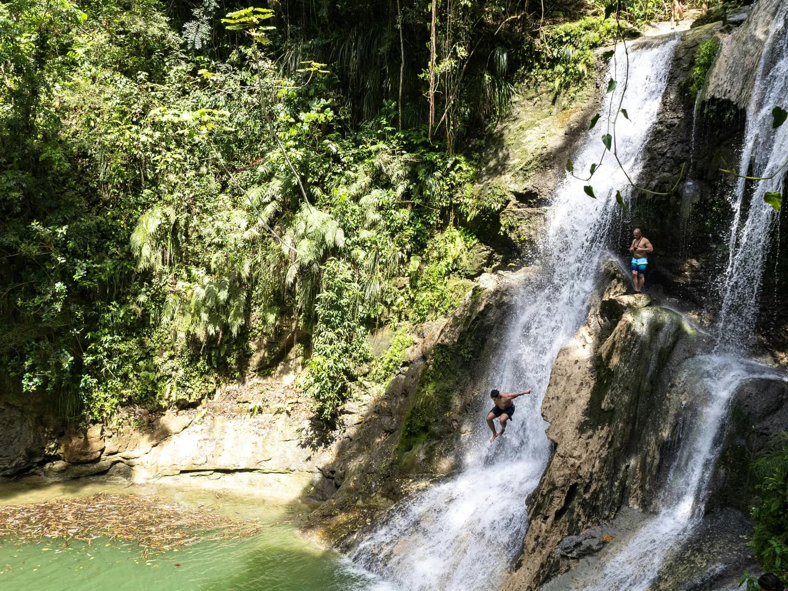 A waterfall dropping into a green pool where people are swimming