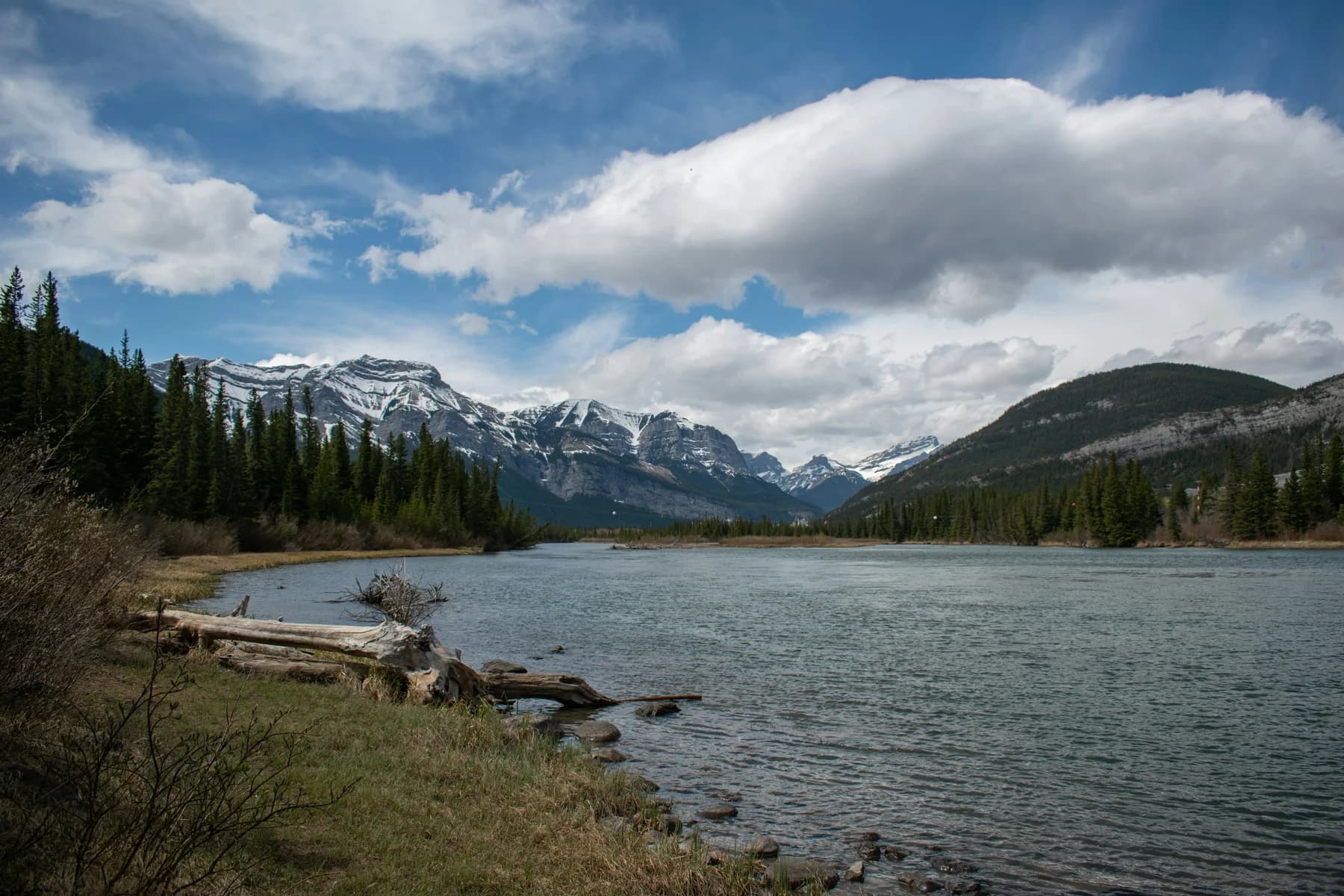 A broad mountain lake and pine forest beneath a dramatic sky