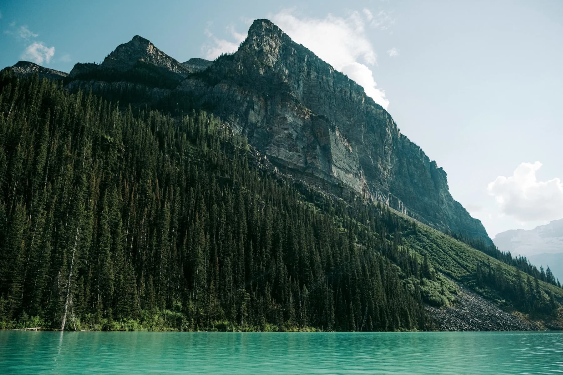 A forested mountainside above a clear alpine lake