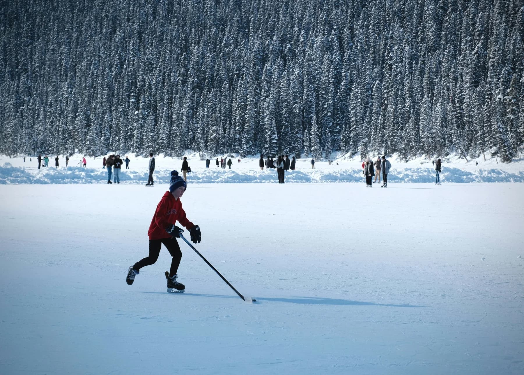 People playing hockey on a frozen lake beside a snowy forest