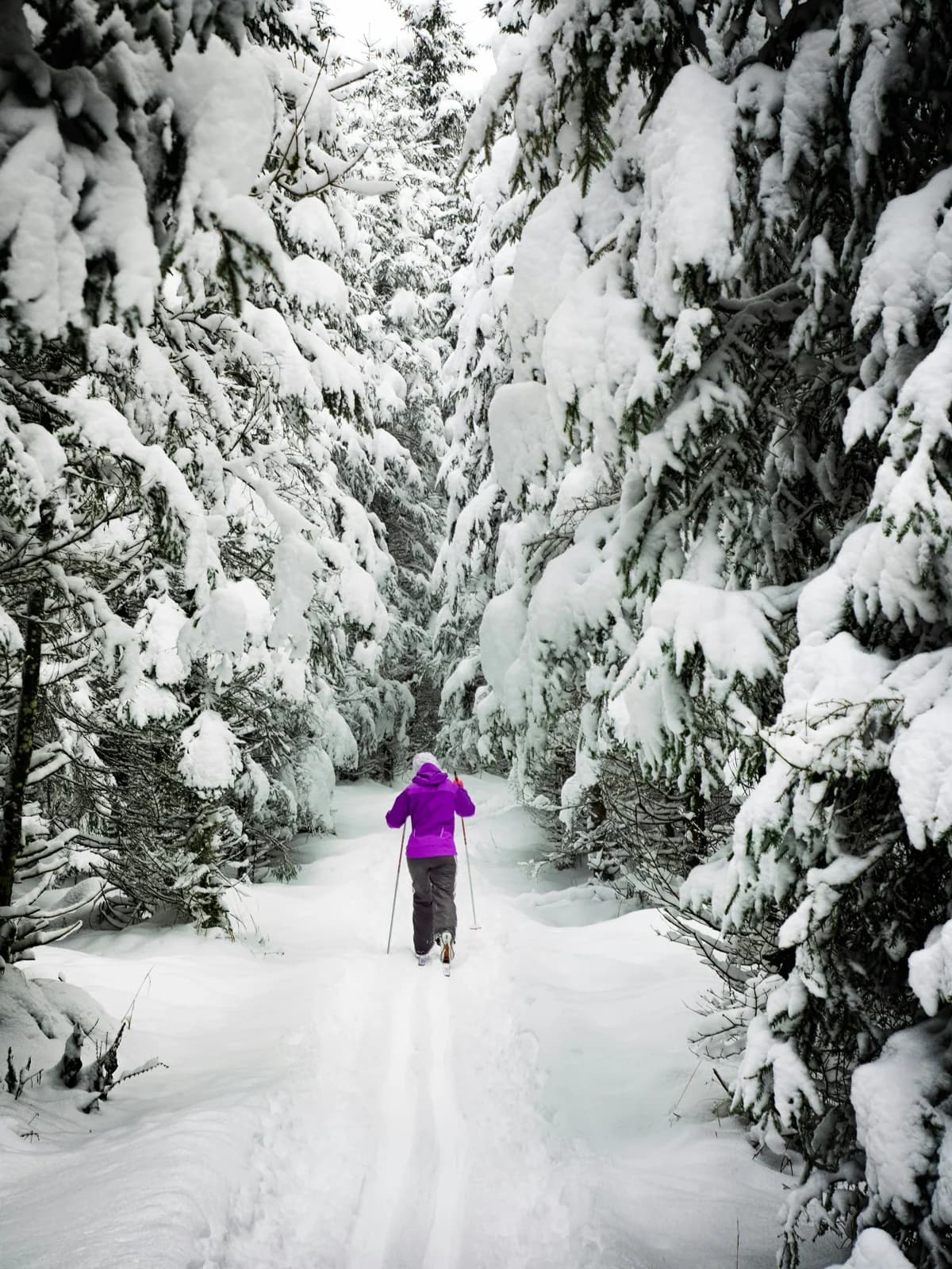 A skier follows a trail between snow-covered trees